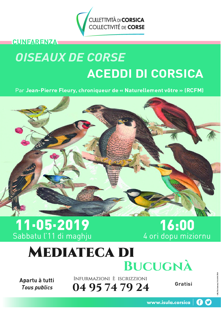 Conférence "Oiseaux de Corse"